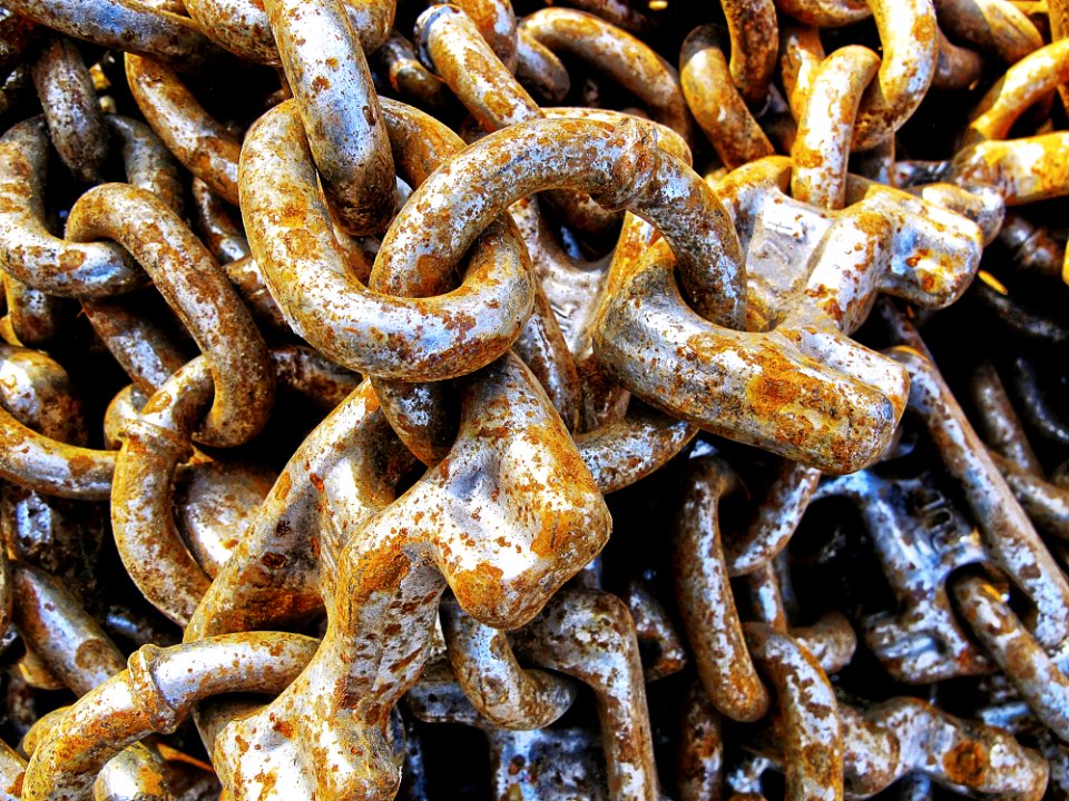 Metal Animal Source Foods