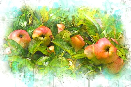 Fruit Apple Watercolor Paint Local Food photo