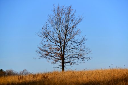 Blue Sky Countryside photo