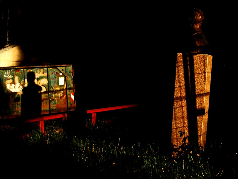 Dark Landscape Light