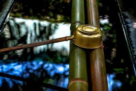Asia Bamboo Brass