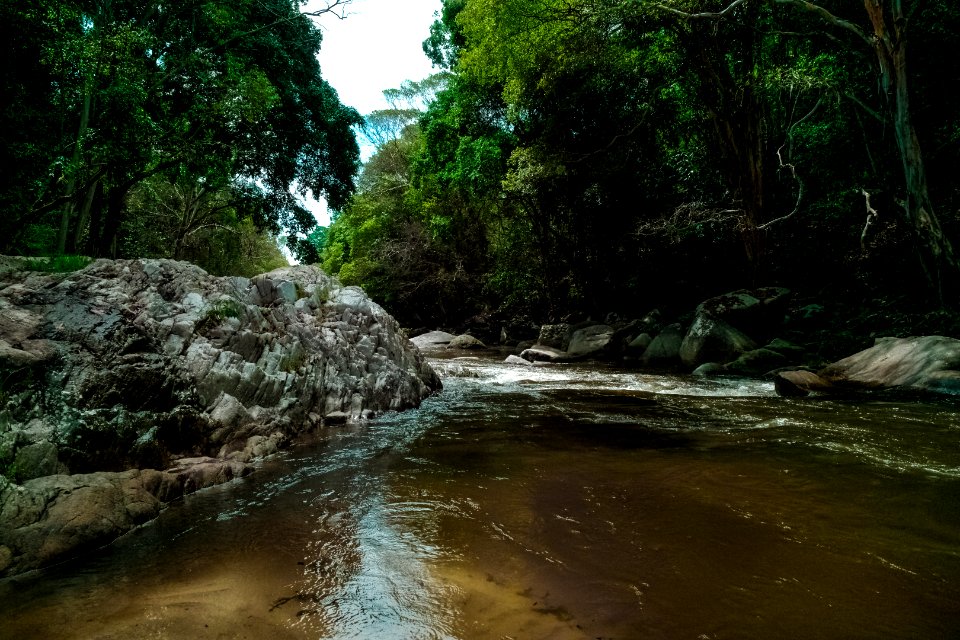 Creek Daylight Environment