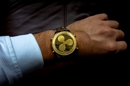 Person Wearing Round Gold Watch photo