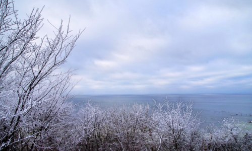 Body Of Water Surrounded By Trees photo