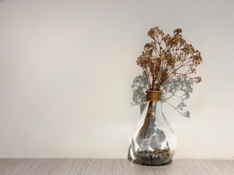 Dried Leaves On Glass Vase Beside Concrete Wall photo