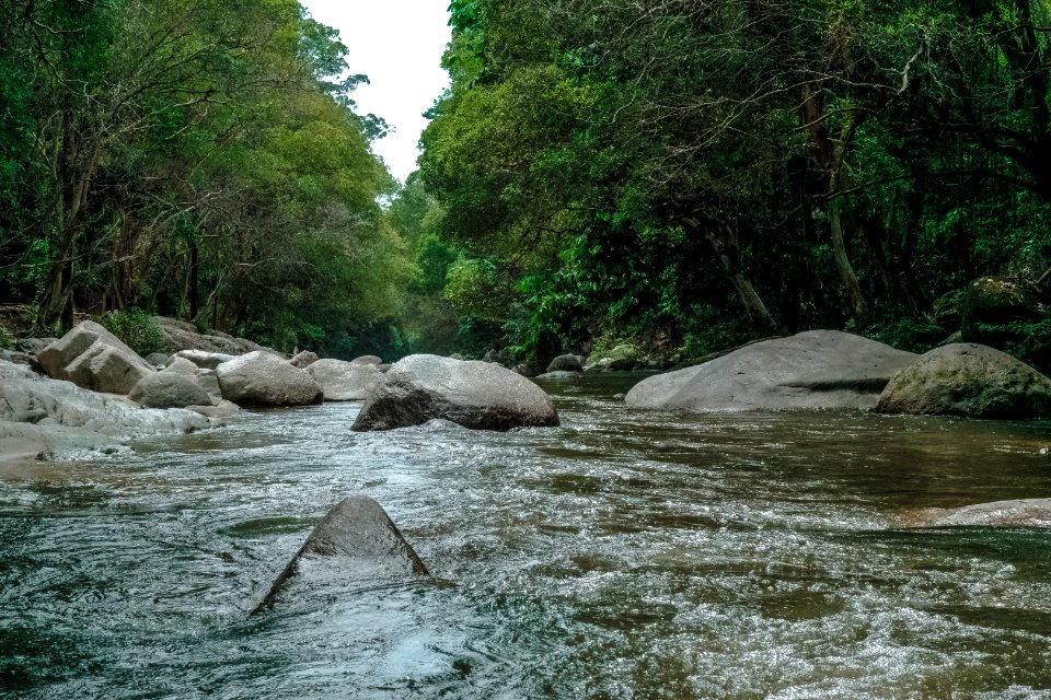 Environment Flow Forest