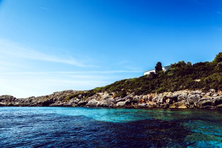 Green Leaf Trees Near Sea At Daytime photo