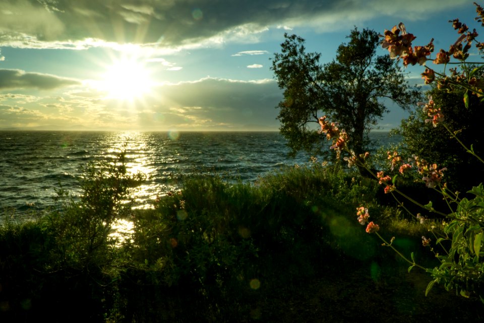 Sun Ray Hitting Body Of Water Green Grass Trees White Clouds During Sunrise