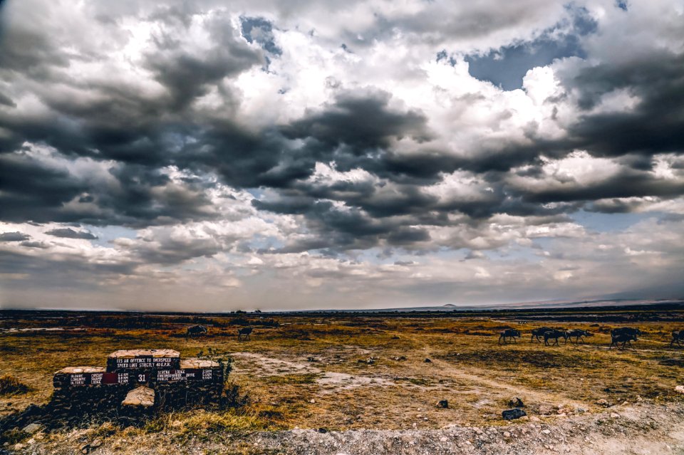 Photography Of Cloudy Skies