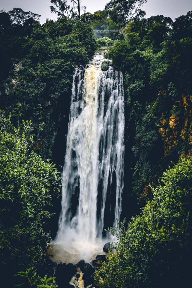 Waterfall Between Trees photo