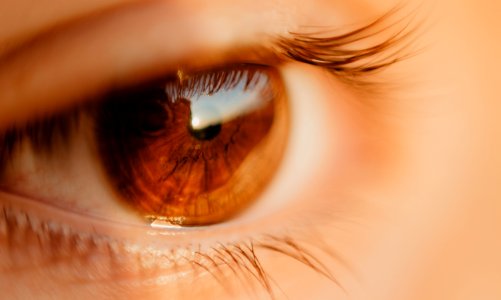 Close-up Photo Of Unpaired Brown Eye