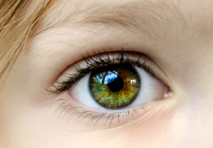 Closeup Photo Of Human Eye photo