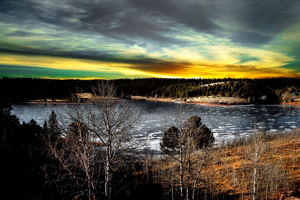 Green And Brown Forest In Front Of Body Of Water