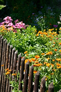 Colorful fence garden fence