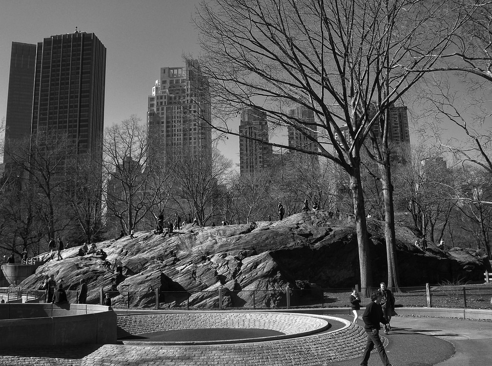 Buildings skyline skyscrapers