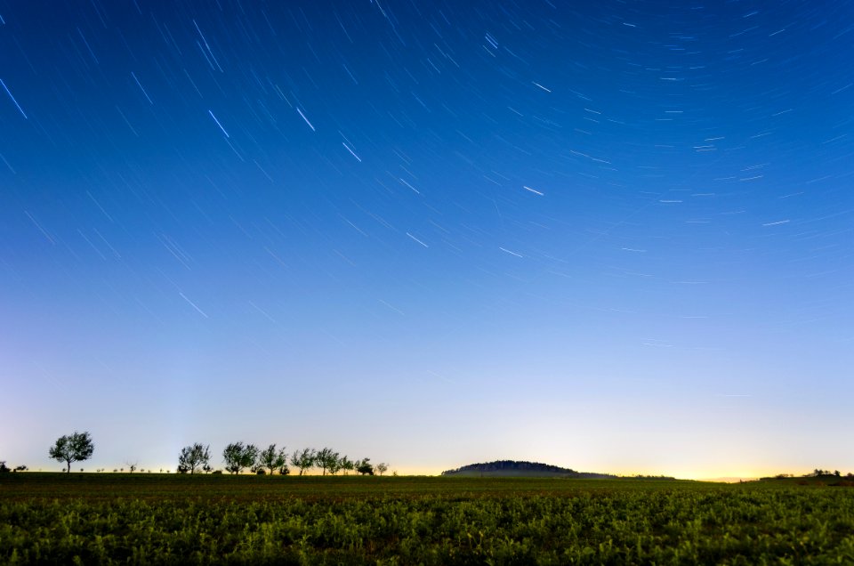 Time-lapse Photography Of Field With Trees And Grasses