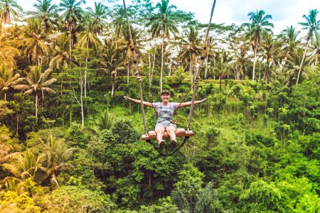 Person In Grey Shirt Surrounded By Green High Trees photo