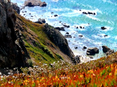 Photography Of Orange-and-yellow Petaled Flowers On Cliff Near Body Of Water At Daytime photo