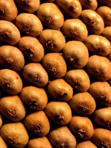 Brown Fruits