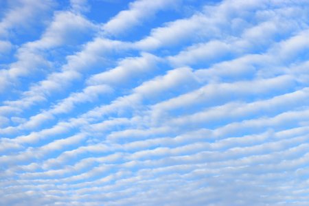 Blue Sky