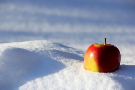 Selective Focus Photography Of Red Apple On Snow photo