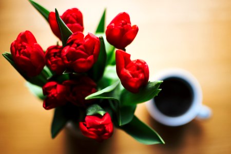 Red Tulip Bouquet Beside White Ceramic Cup Full Of Black Liquid photo