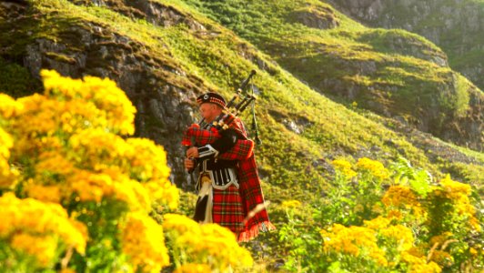 Photo Of A Man In Red Black And White Plaid Traditional Suit On Yellow Flower Field photo