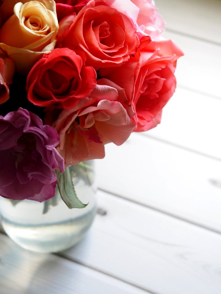 Shallow Focus Of Red And Pink Flowers