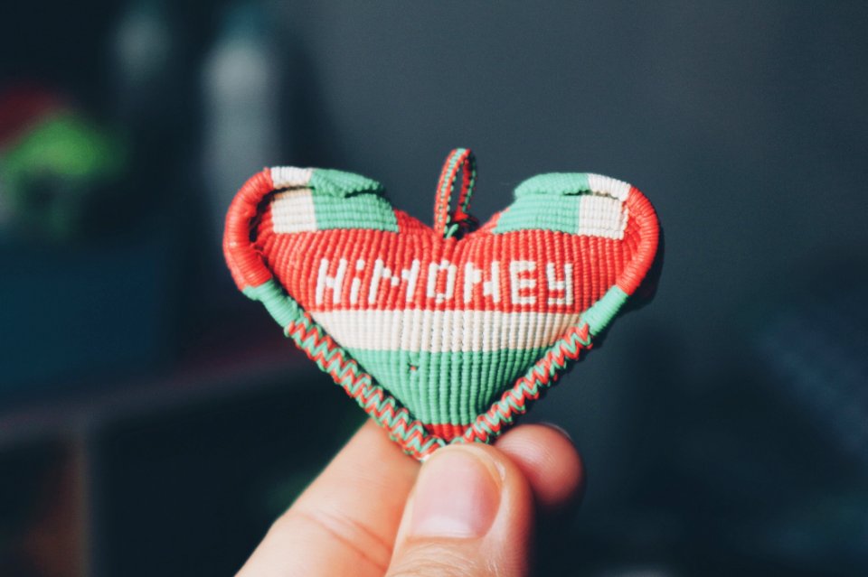 Person Holds Red And Teal Himoney Pendant