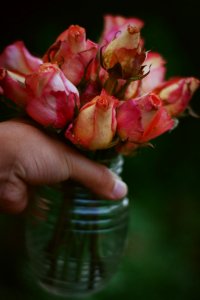 Pink And White Rose Flower Arrangement In Vase