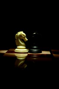 Two White And Black Chess Knights Facing Each Other On Chess Board photo