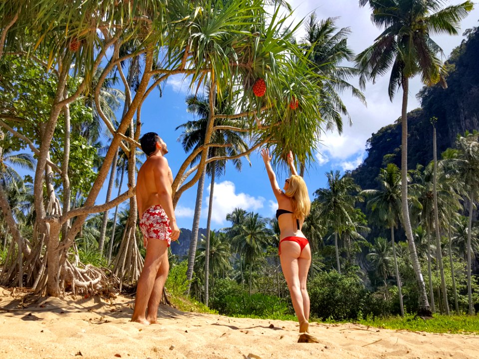 Woman Wearing Black Bikini Top And Red Bottom Beside Man Wearing White And Red Floral Shorts