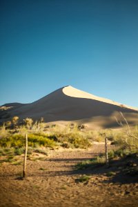 Green Grass Across Desert Under Blue Sunny Sky photo