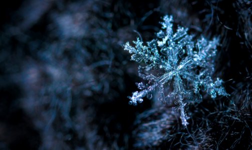 Close-up Photography Of Snowflake photo