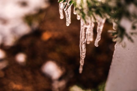 Close-Up Photography Of Icicles