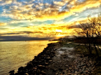 Bare Trees Near Seashore During Golden Hour photo