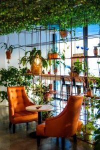 Photography Of Table And Chairs Near Plants