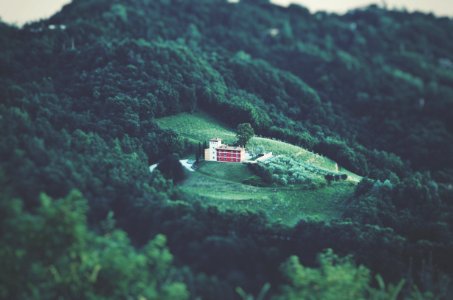 Areal Photography Of White Building Surrounded By Forest photo