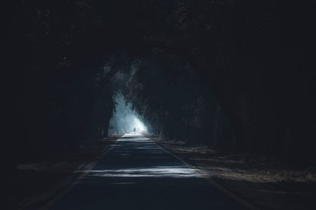 Concrete Road Surrounded By Trees