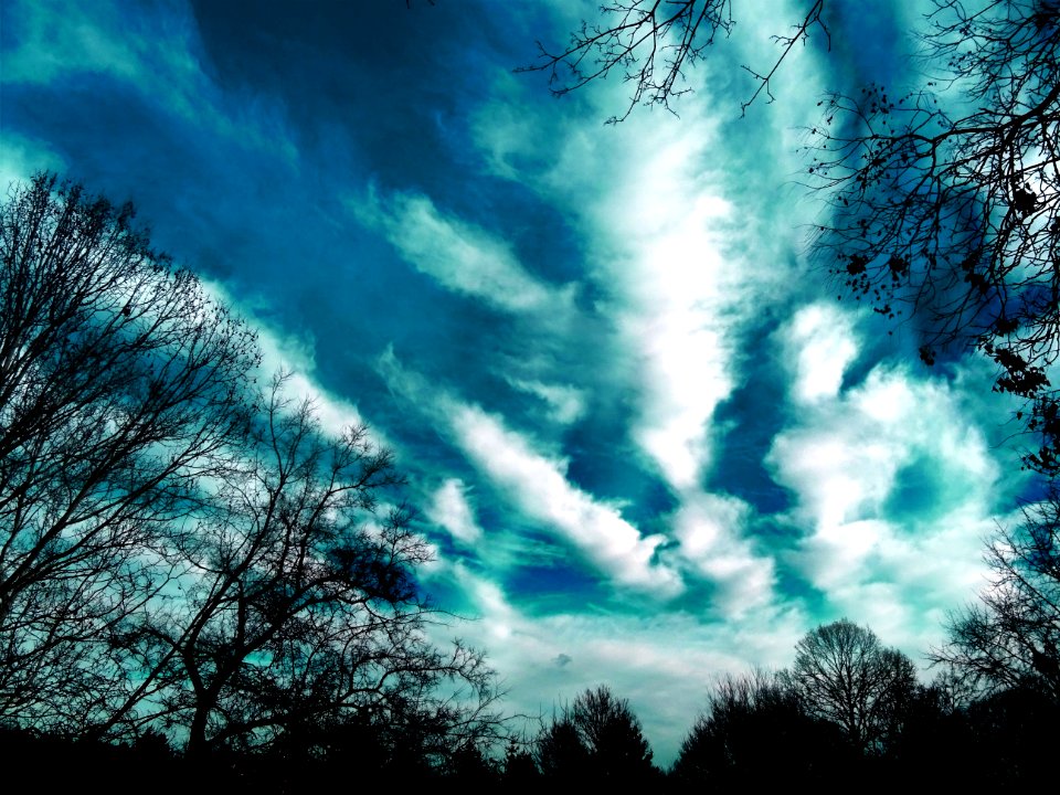 Trees And Clouds Photography