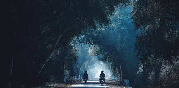 Two People Riding Motorcycle In The Middle Of The Forest