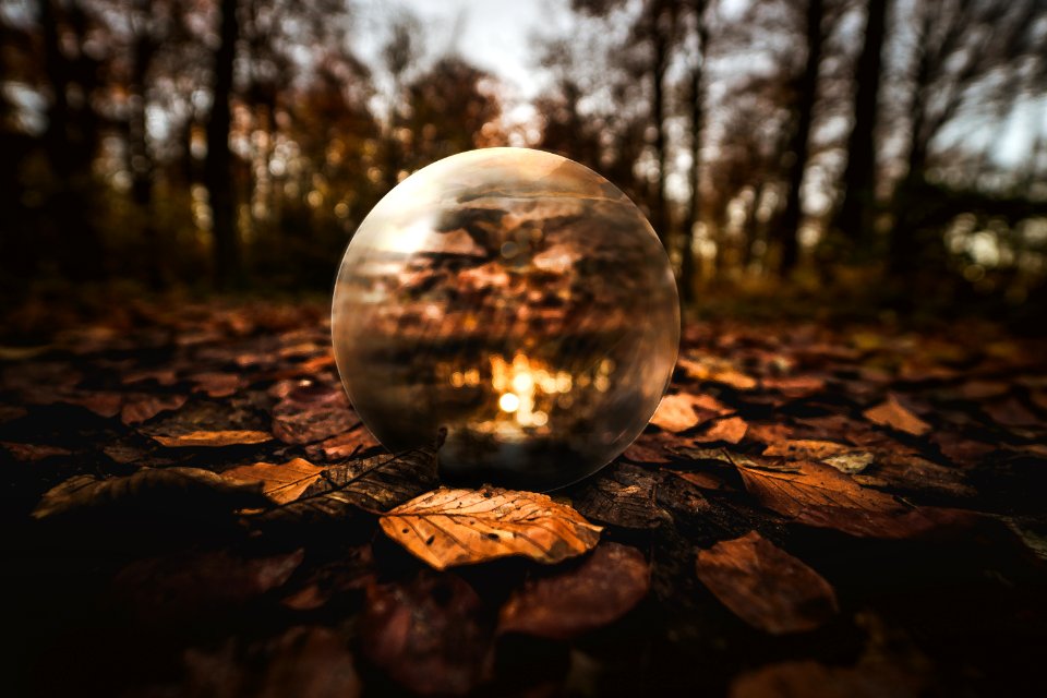 Selective Focus Photography Of Clear Glass Ball On Brown Leaves On Ground photo