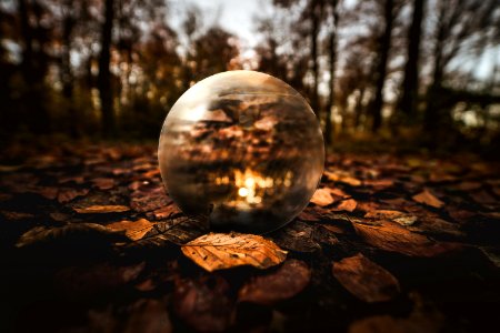 Selective Focus Photography Of Clear Glass Ball On Brown Leaves On Ground