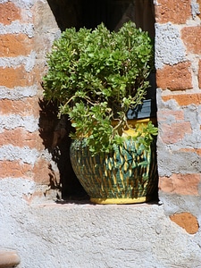 Ceramic pots flowerpot