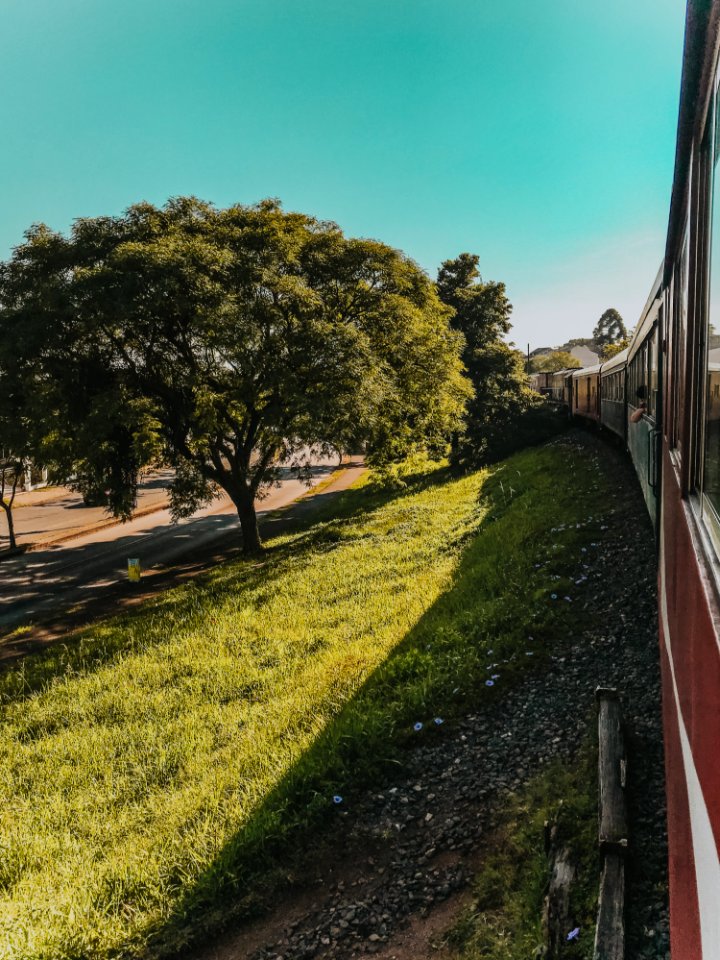 Green Leaf Tree Near Red Train At Daytime photo