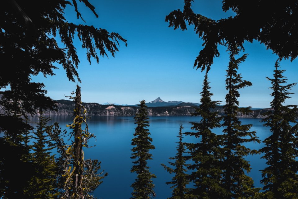Green Trees Against Body Of Water Photo