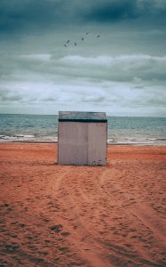Gray Storage Shed On Brown Sand photo