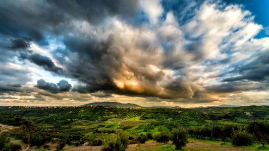 Green Forest Under Cloudy Sky photo