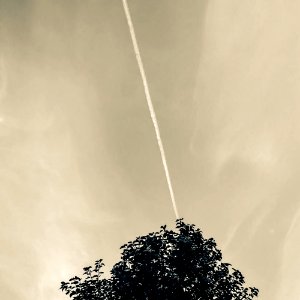 Green Leaf Tree Under Cloudy Sky photo