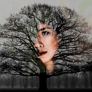 Womans Face With Bare Tree Artwork